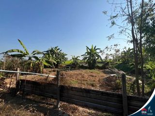 For sale land in Kong Krailat, Sukhothai