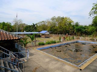 For sale land in Nong Suea, Pathum Thani