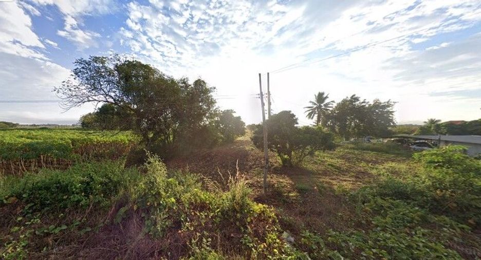 For sale land in Chiang Khong, Chiang Rai