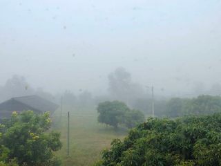 For sale land in Wiang Pa Pao, Chiang Rai