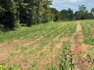 For sale land in Mueang Chaiyaphum, Chaiyaphum