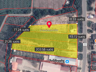 For rent and for sale land in Fang, Chiang Mai