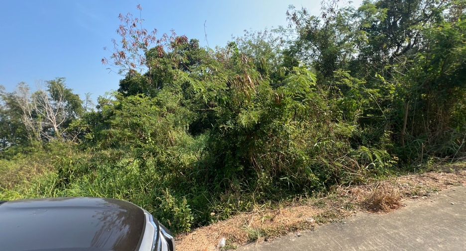 For sale land in Sam Khok, Pathum Thani