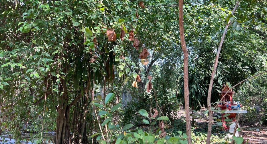 For sale land in Sam Khok, Pathum Thani