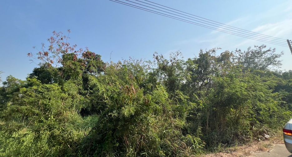 For sale land in Sam Khok, Pathum Thani