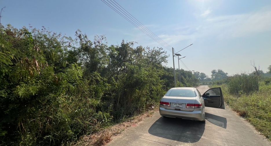 For sale land in Sam Khok, Pathum Thani