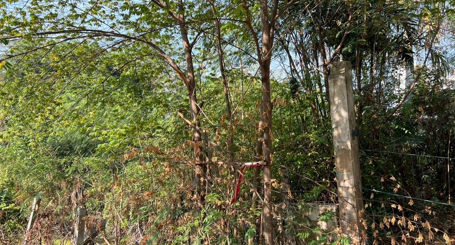 For sale land in Sam Khok, Pathum Thani