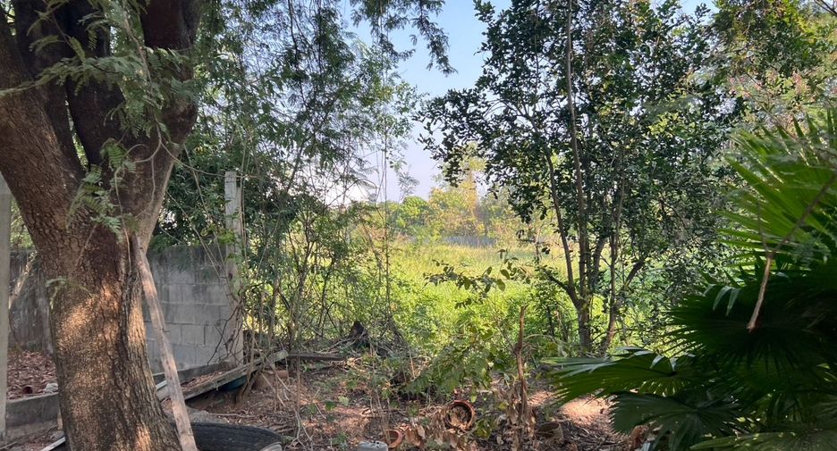 For sale land in Sam Khok, Pathum Thani