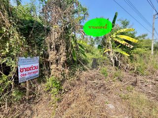 For sale land in Phutthamonthon, Nakhon Pathom