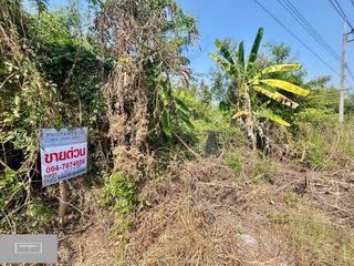 For sale land in Phutthamonthon, Nakhon Pathom