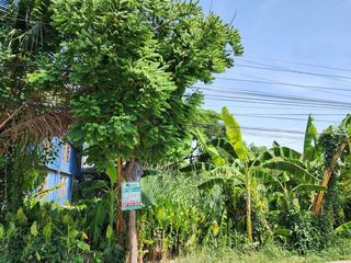 For sale land in Mueang Pathum Thani, Pathum Thani