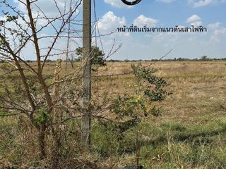 For sale land in Dan Khun Thot, Nakhon Ratchasima