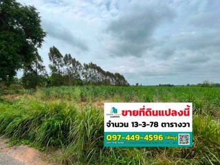 For sale land in Ko Chan, Chonburi