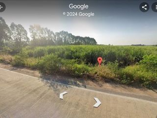 For sale land in Ko Chan, Chonburi