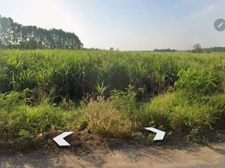 For sale land in Ko Chan, Chonburi