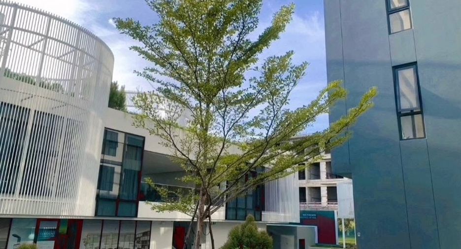 For sale 1 bed condo in Mueang Chiang Mai, Chiang Mai