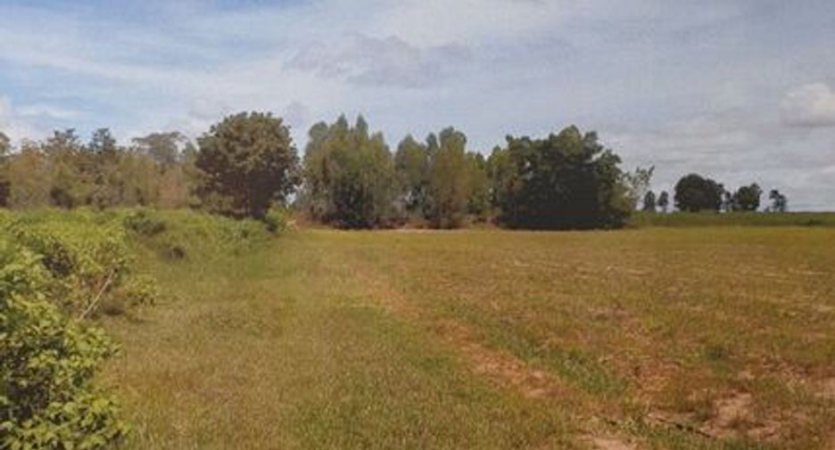 For sale land in Na Chueak, Maha Sarakham