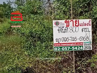 ขาย ที่ดิน ใน ลาดบัวหลวง, พระนครศรีอยุธยา