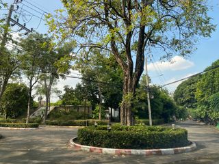 For sale studio house in Sai Mai, Bangkok