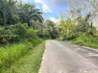 For sale land in Thai Mueang, Phang Nga