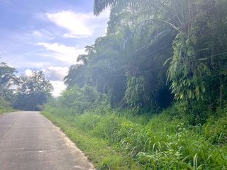 For sale land in Thai Mueang, Phang Nga