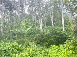 For sale land in Thai Mueang, Phang Nga