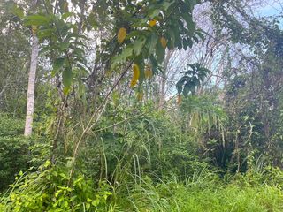For sale land in Thai Mueang, Phang Nga