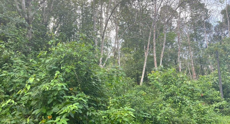 For sale land in Thai Mueang, Phang Nga