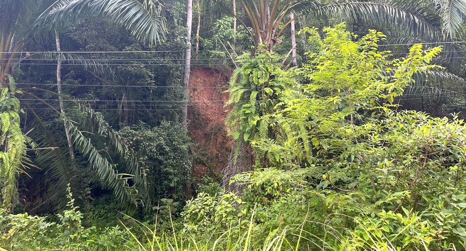 For sale land in Thai Mueang, Phang Nga