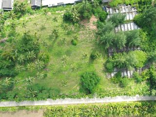 ขาย ที่ดิน ใน ตะกั่วทุ่ง, พังงา