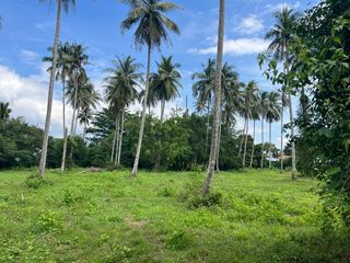 ขาย ที่ดิน ใน ตะกั่วทุ่ง, พังงา