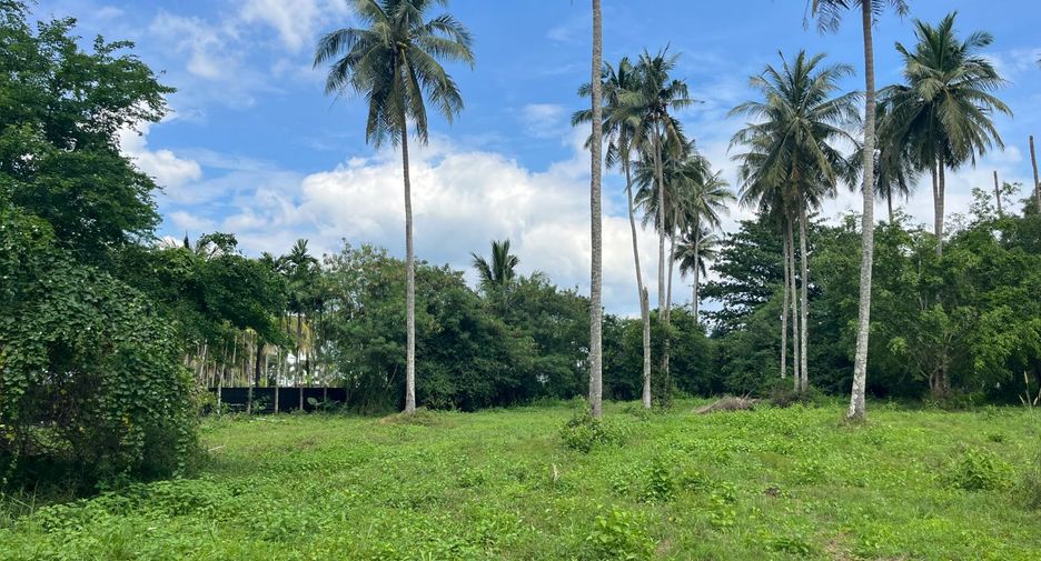 For sale land in Takua Thung, Phang Nga