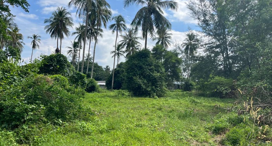 For sale land in Takua Thung, Phang Nga