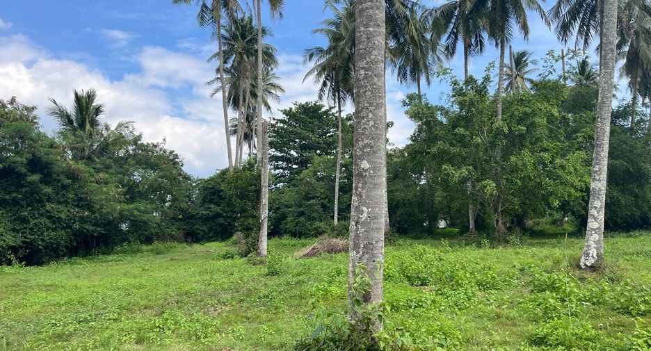For sale land in Takua Thung, Phang Nga