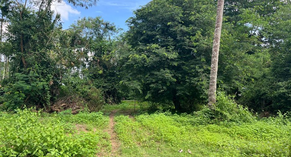 For sale land in Takua Thung, Phang Nga