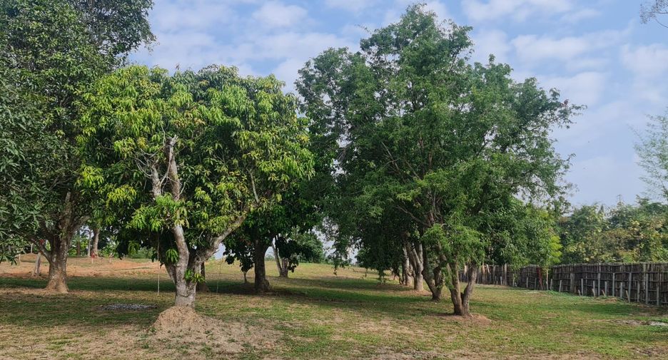 For sale 2 Beds villa in Mueang Chiang Rai, Chiang Rai
