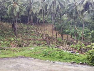 For sale land in Mueang Phuket, Phuket