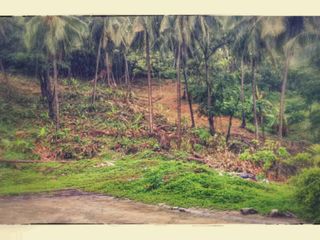 For sale land in Mueang Phuket, Phuket