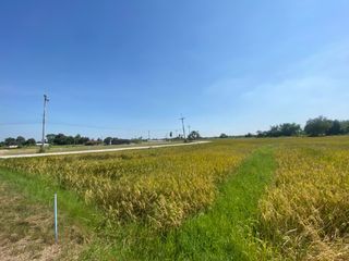 À vendre terrain à Phanat Nikhom, Chonburi