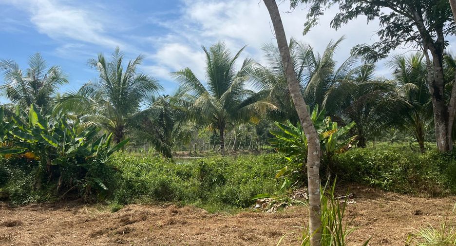 For sale land in Thai Mueang, Phang Nga