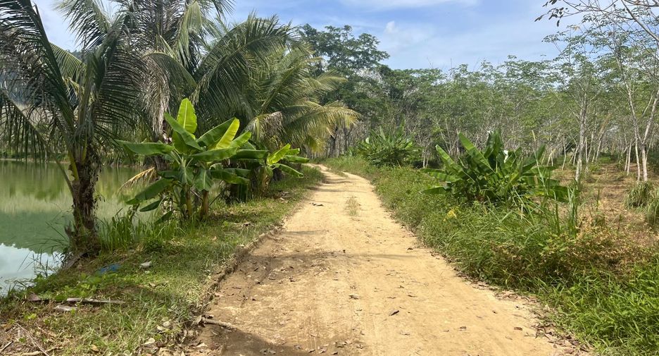 For sale land in Thai Mueang, Phang Nga