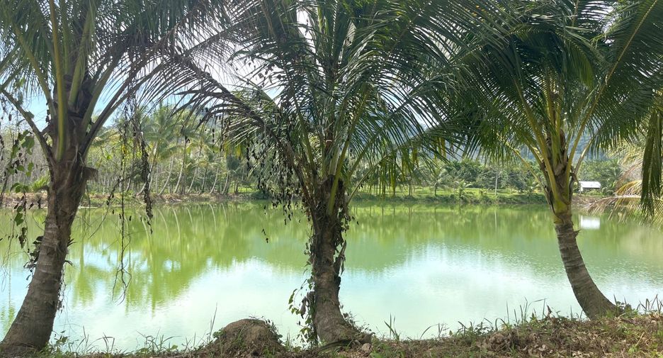 For sale land in Thai Mueang, Phang Nga