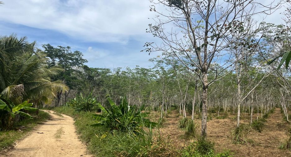 For sale land in Thai Mueang, Phang Nga