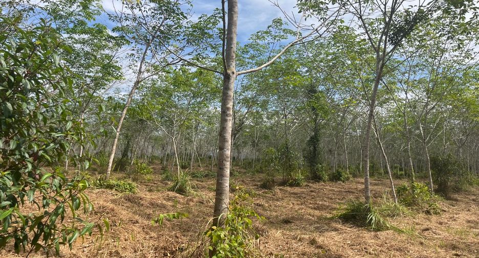 For sale land in Thai Mueang, Phang Nga