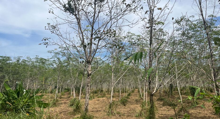 For sale land in Thai Mueang, Phang Nga