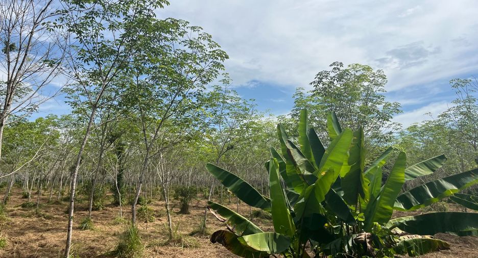 For sale land in Thai Mueang, Phang Nga