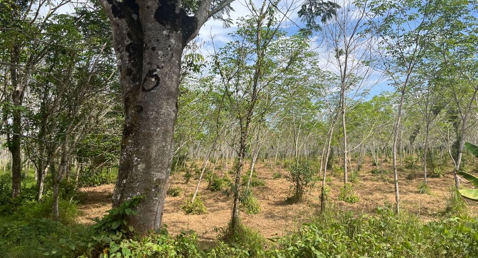 For sale land in Thai Mueang, Phang Nga
