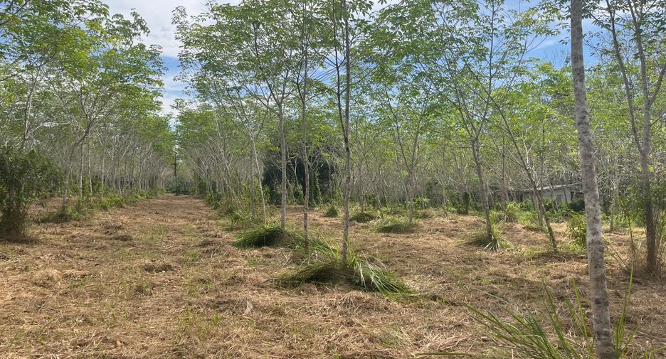 For sale land in Thai Mueang, Phang Nga