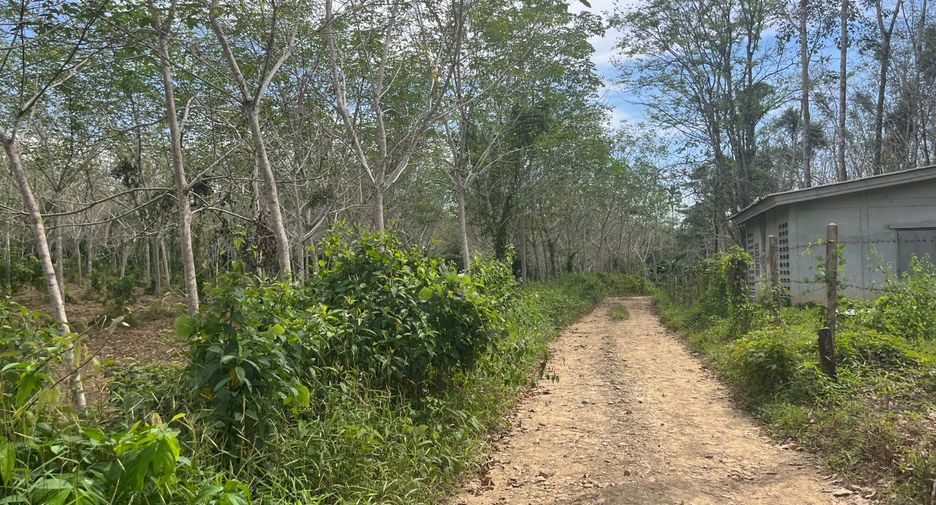 For sale land in Thai Mueang, Phang Nga