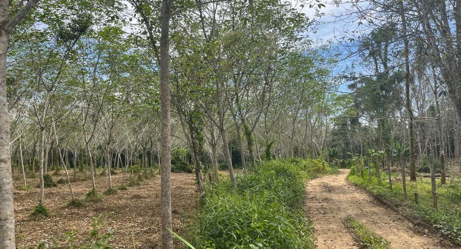 For sale land in Thai Mueang, Phang Nga